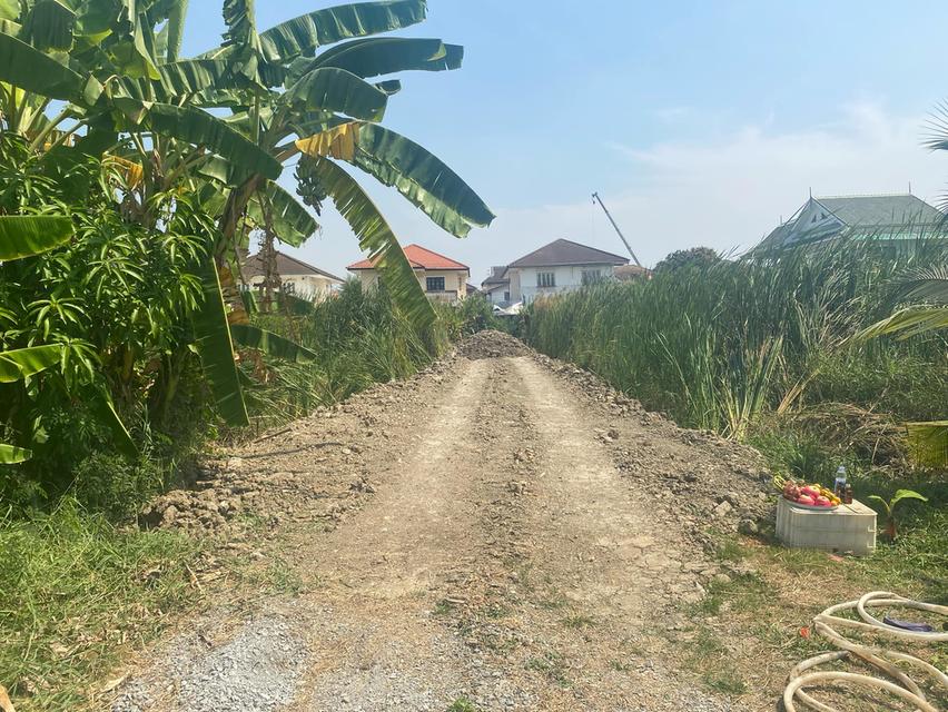 ขายที่ดินทำเลดีติดหมู่บ้านจัดสรร. หมู่บ้านเพรชเกษม3 ซอย27เหมาะสำหรับทำหมู่บ้านจัดสรรเนื้อที่เกือบ4ไร่. ขายตารางวาละ26, 000บาท 2