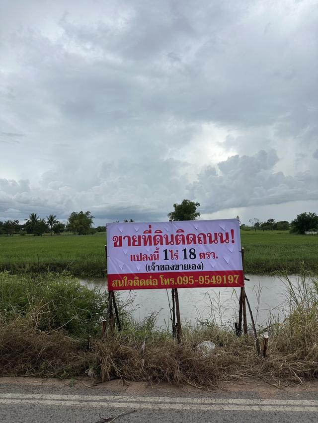 ด่วน!! ขายที่ดิน 1 ไร่ 18 ตร.วา จ.ชัยภูมิ อ.จัสตุรัส 1
