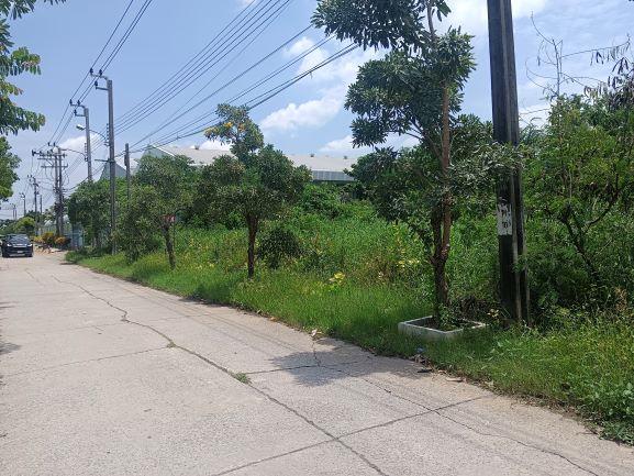 ขายที่ดิน 2 ไร่ ซอยนิลยาธร ถนนประชาพัฒนา แขวงทับยาว เขตลาดกระบัง 3