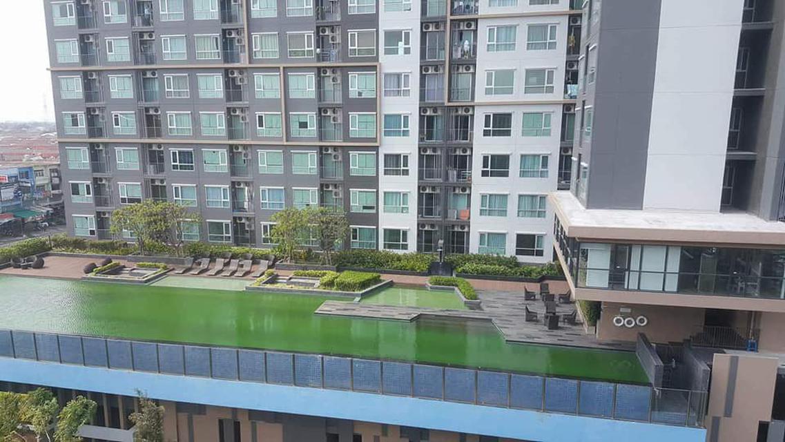 ให้เช่า Plum Condo Bangkae (พลัม คอนโด บางแค) ENNXO