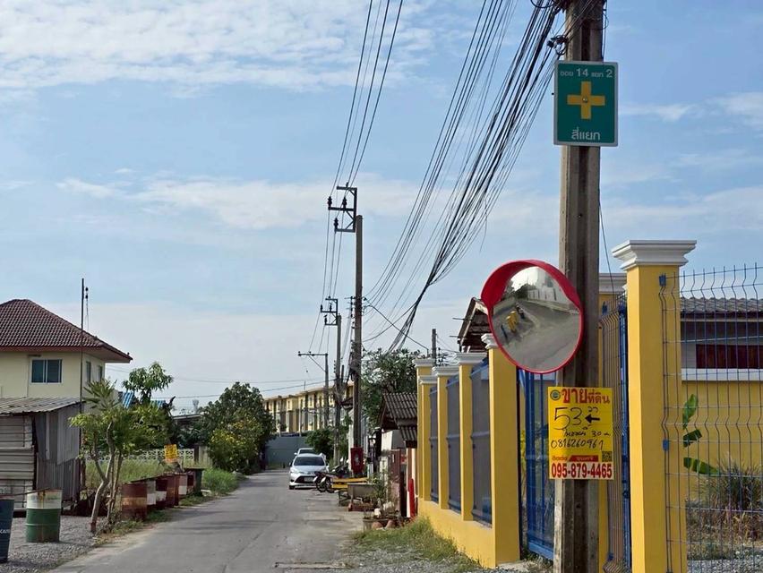 ขายถูกที่สุดที่ดินทำเลดี 53 ตารางวา ติดถนนลาดยางสาธารณะ ซอย ร่มโพธิ์ทอง 14 อ.บางบัวทอง จ.นนทบุรี 4