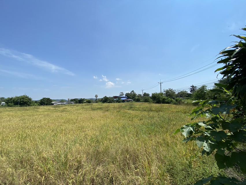 ขายที่ดินโคกกรุง แก่งคอยบ้านนา (ชุมชนชำผักแพว) อ.แก่งคอย จ.สระบุรี 9