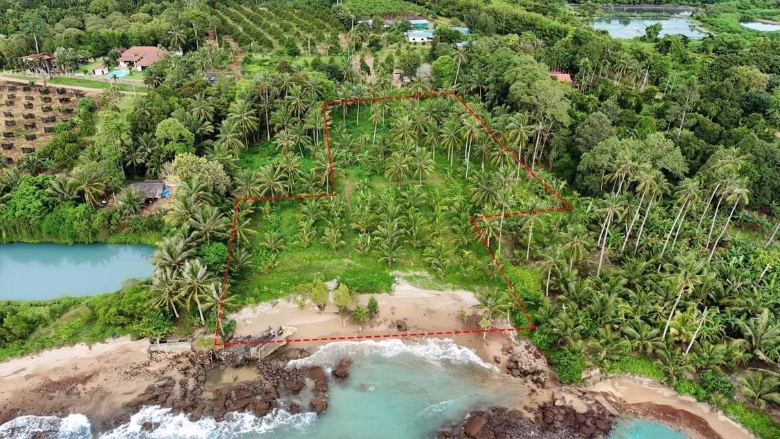 ขายที่ดินบางปิดติดหาดส่วนตัวเนื้อที่ 5 ไร่ ติดถนนสาธารณะโฉนดนส.4 ใกล้สนามบินตราด-10กม. อ.แหลมงอบ จ.ตราด 2