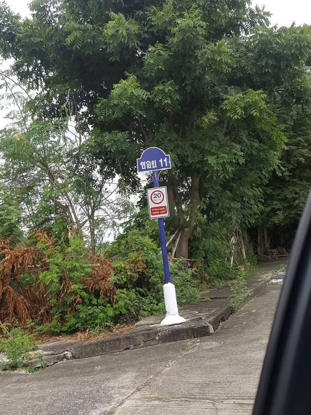 ขายที่ดินเปล่า ในโครงการทิพพิมานซอยวัดลาดปลาดุก 4