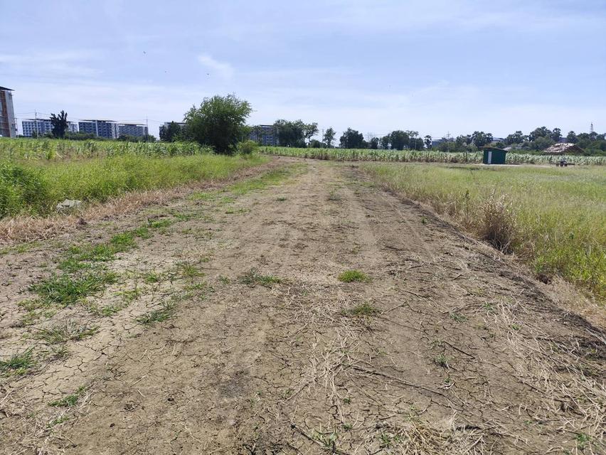 ขายที่ดิน 1-9 ไร่ กำแพงแสน นครปฐม land for sale Nakhon Pathom 10