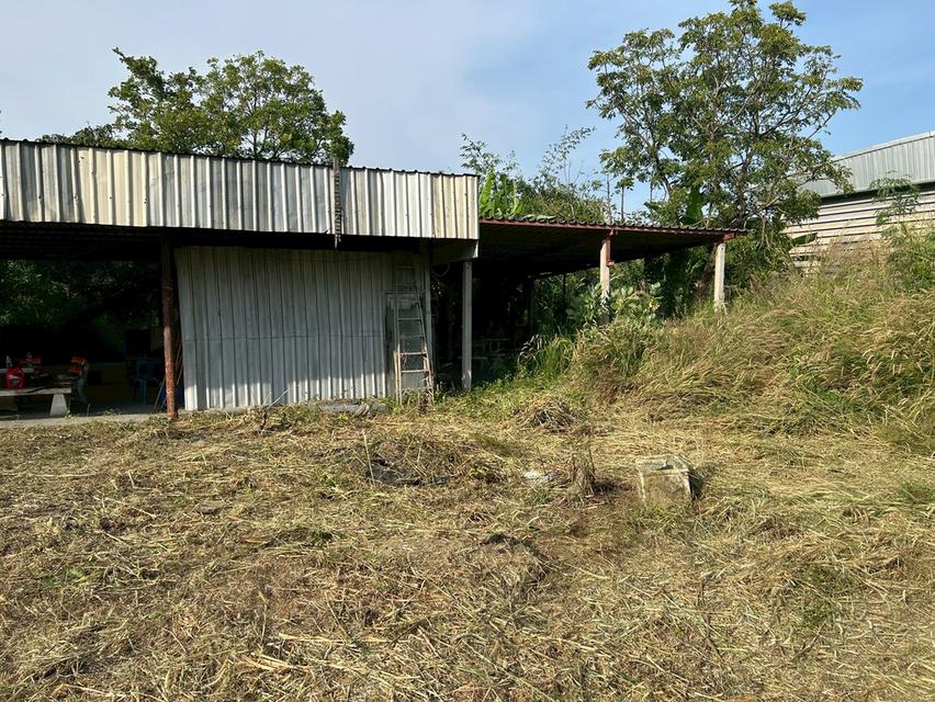 ขายที่ดิน 5 ไร่ ทำเลทองหนองตำลึง ใกล้นิคมอมตะนคร 11