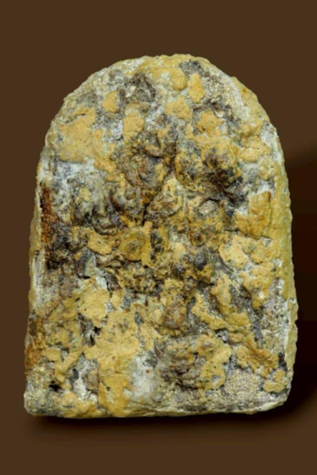 พระซุ้มกอเนื้อว่านหน้าทอง รูปที่ 3