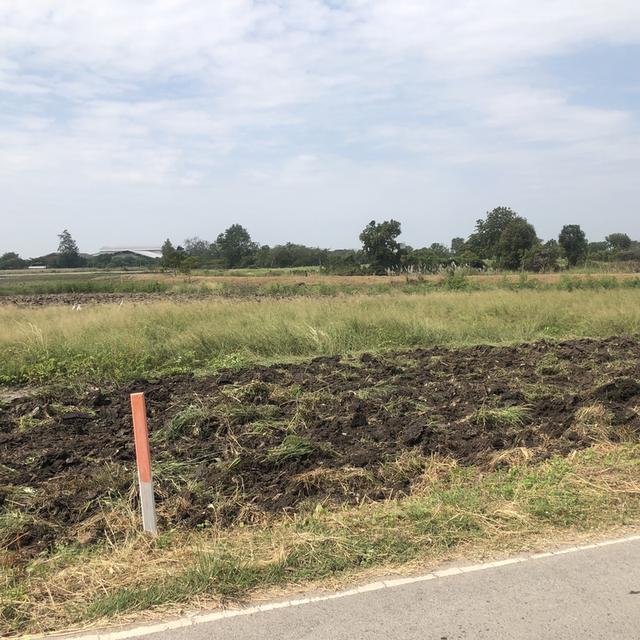 ขายทึ่ดิน 1 ไร่ ซอยดงจำปา5 ราคา 2.3 ล้าน สนใจติดต่อ 0936394245 รูปย่อยที่ 2