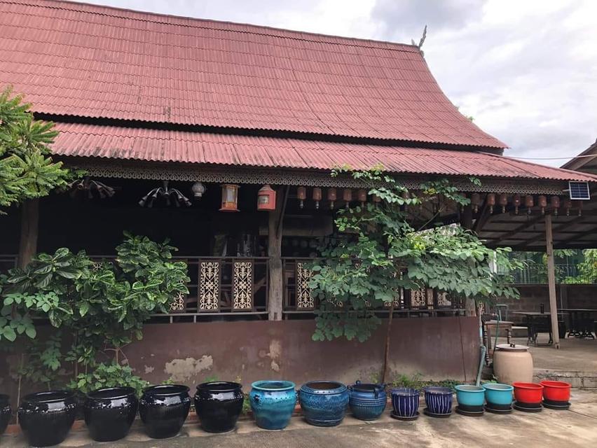 ขายที่ดิน-ร้านค้า-บ้านพักอาศัย 75 ล้าน  6 ไร่
