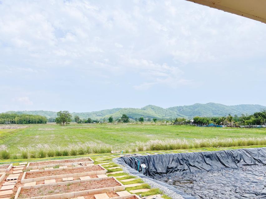 ขายบ้านสวนพร้อมที่ดิน 12 ไร่เศษ อเมืองเชียงราย ตห้วยสัก เหมาะทำคาเฟ่และฟาร์มสเตย์ เดินระบบไฟใต้ดินเรียบร้อย 12