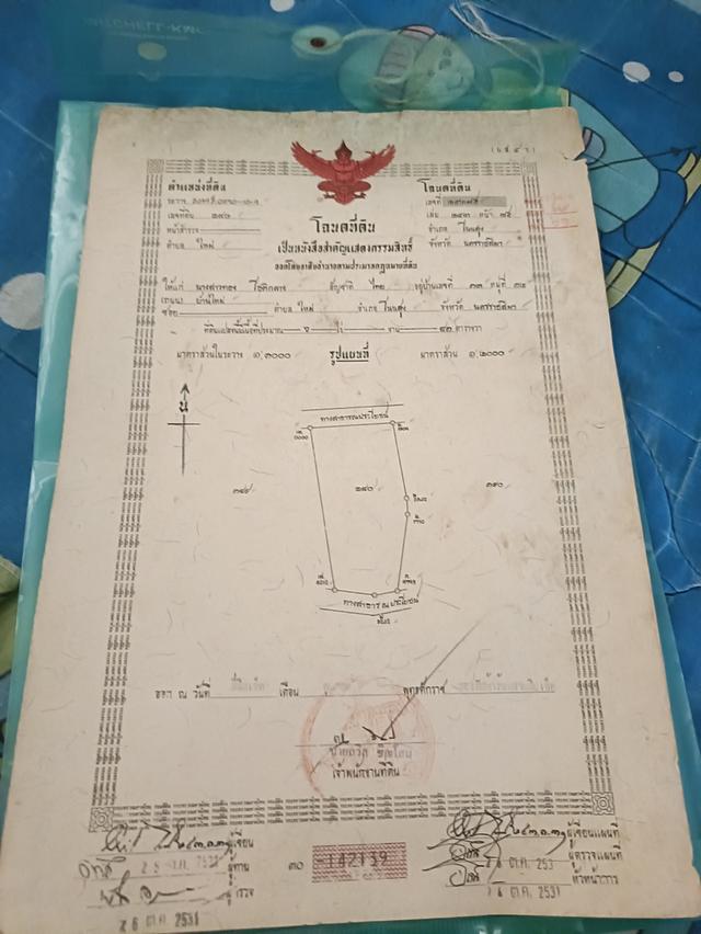 ที่ดินเปล่าเหมาะแก่การปลูกบ้านอยู่อาศัย ทำโรงงาน โกดัง 3