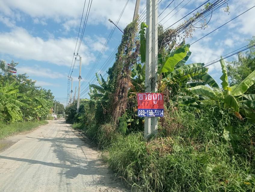 ขายที่ดิน ทำเลดี ที่สวย 3