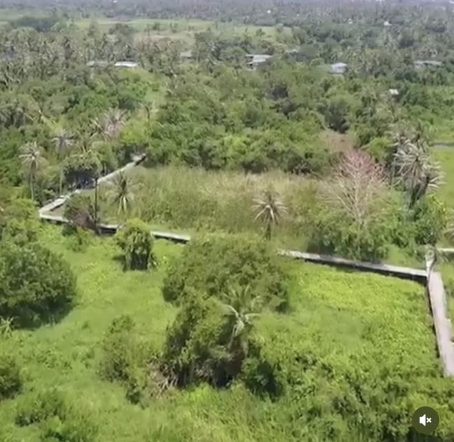 ขายที่ดินเปล่า ไม่มีสิ่งปลูกสร้าง เกาะเกร็ด ที่ดิน 7 ไร่ 1 งาน 13 ตารางวา 1