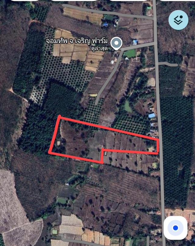 ที่ดินสวนยางพารา จำนวน 19 ไร่ จ.สกลนคร อ.คำตากล้า 1