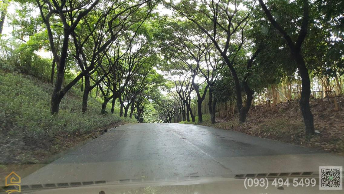 #ขายคอนโดสวอนเลคเขาใหญ่ |  ( SWAN LAKE KHAOYAI ) | 91.25 ตร.ม | ชั้น 3 ห้องมุม อ.ปากช่อง จ.นครราชสีมา 5