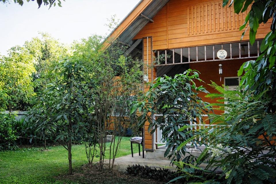 บ้าน+ที่ดิน 121 ตรว. เชียงใหม่ ราคา 1.2 ล้าน 1