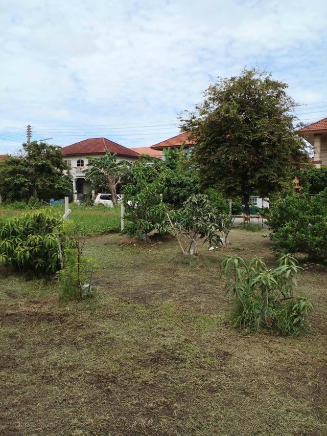 ที่ดินเปล่าจัดสรร(หมู่บ้านวิจิตราธานี) 4