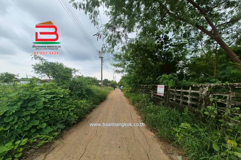 ที่ดิน ซอยประชาสำราญ 3 หนองจอก เนื้อที่ 100 ตรว. หนองจอก กรุงเทพมหานคร 3