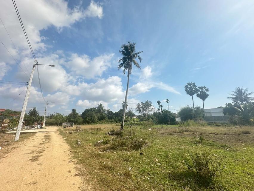 ขายด่วนที่ดินห้วยใหญ่ - ทุ่งละหาร ชลบุรี 4