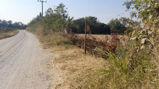 สู่ยุคหาที่ทำเกษตรเศรฐกิจ ที่ปากช่อง 2ไร่- 8ไร่ โฉนด ต.วังไทร อ.ปากช่อง จ.นครราชสีมา ไร่ละ 2.9 ลบ.สูงจากระดับน้ำทะเลมาก 1