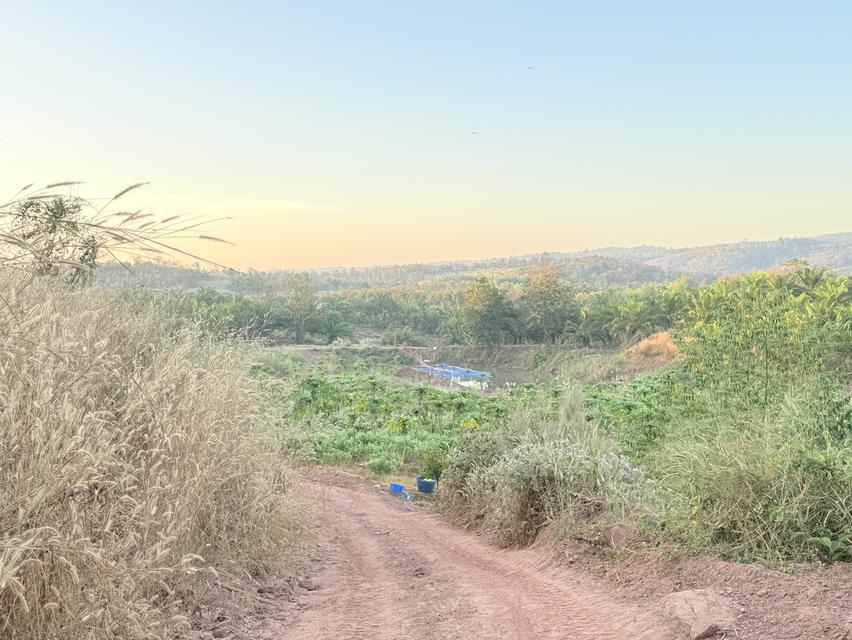 ขายที่ดิน พร้อมที่พักอาศัย 2