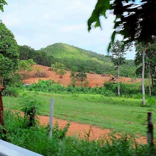 ขายที่ดินสวย พัทยา บางละมุง ชลบุรี 4