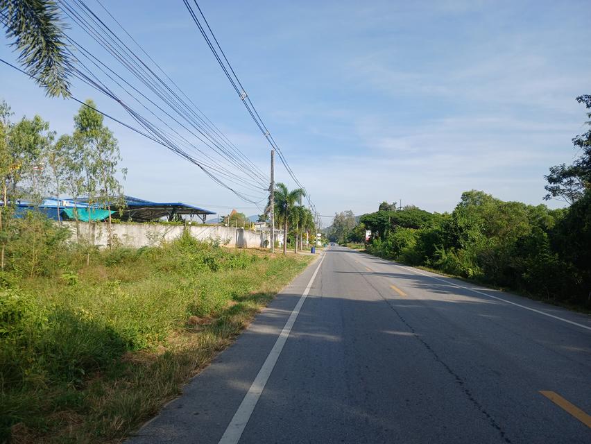 ที่ดินห่างชายทะเลหาดสวนสน จ.ระยอง 500 เมตร 3