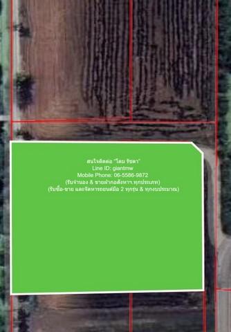 พื้นที่ดิน ขายที่ดินทุ่งนา อ.นครชัยศรี นครปฐม 5-0-0 ไร่ ราคา 15 ล้านบาท ใหญ่ขนาด 5 RAI 0 ngan 0 ตรว. 15000000 THB ใกล้ โ