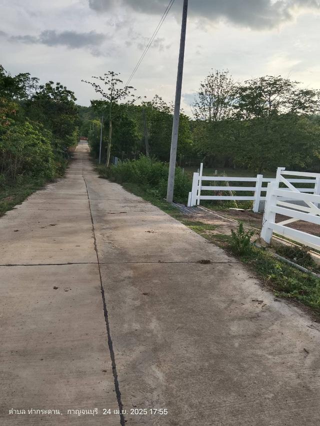 ขายที่ดินเปล่า 1