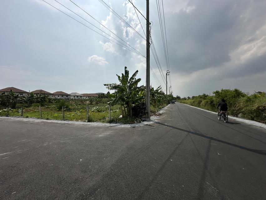 ขายที่ดินเปล่า 2 ไร่ ถนนพัฒนาชนบท 3 ( ซอยสมร) แขวงคลองสองต้นนุ่น เขตลาดกระบัง กทม. 3