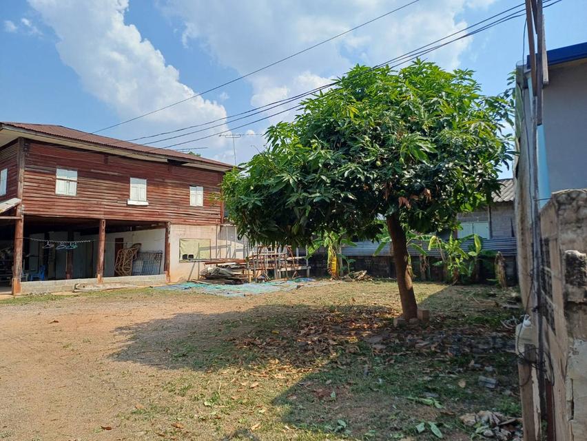 ขายบ้านพร้อมที่ดิน เนื้อที่ 173 ตร.วา. ต.เมือง ถนนเดชอุดม ซ.13 (หนองไผ่ล้อม ซ.13) อ.เมือง จ.นครราชสีมา 6