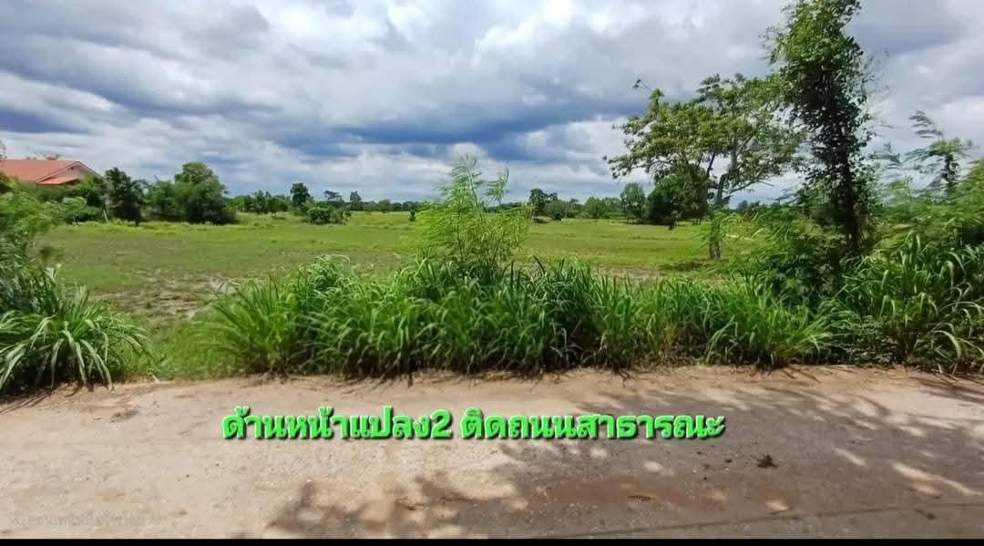 ที่ดินอ.ด่านขุนทดจังหวัดนครราชสีมา 15 ไร่ 2 งาน 39 ตรว ไร่ละ 300,000 4