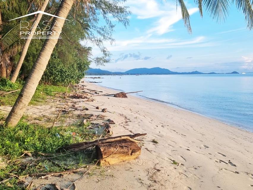 ขายที่ดินติดทะเล / Beach fornt Land for sale  2