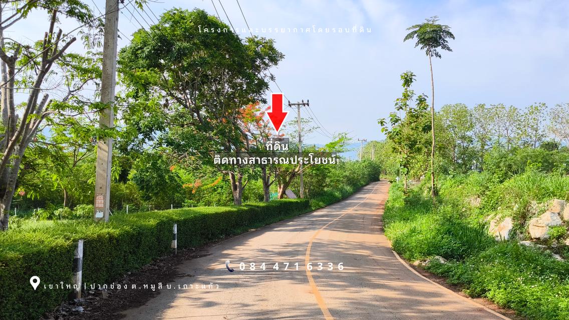 เขาใหญ่ | ปากช่อง โซนหมูสี *ด้านหลังติดเขา* ใกล้ MADAME VALLEY(มาดามแป้ง) เนื้อที่ 4-3-69 ไร่ ราคา 3.5 ล้าน/ไร่ 2