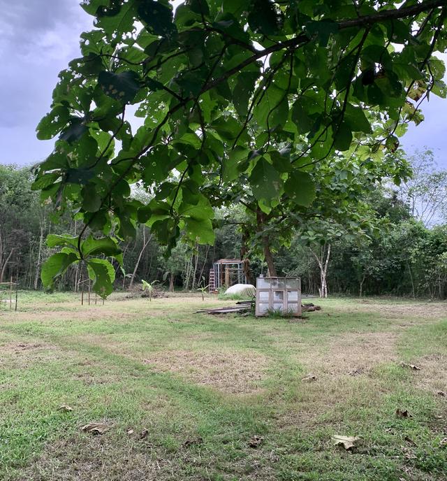 ที่ดิน 9 ไร่ 1 งาน 7 ตรว 5