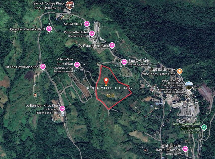 ที่ดินเขาค้อ 52 ไร่ เนินเขา