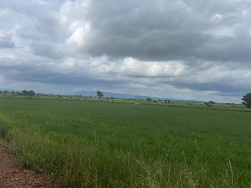 ที่ดินวิวเขา นครนายก สองไร่ 4