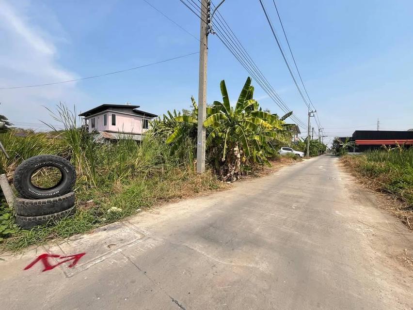 ขายด่วนที่ดิน 100 ตรว.ซอยบงกช45 คลองหลวง จ.ปทุมธานี ‼️รูปแปลงสวย  ถมแล้ว 50 ตรว. อีก50 ตรว. ยังไม่ถม 3