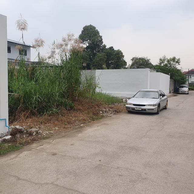 ที่ดินบางบอน5 หนองแขม 4