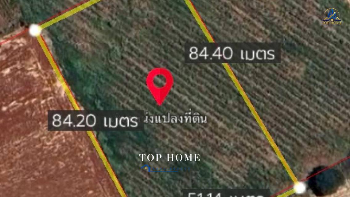 ขายด่วน! ที่ดินเปล่า อ.ปากช่อง วิวภูเขาสวย** เนื้อที่ **2 ไร่ 1 งาน 99 ตร.ว.** 2