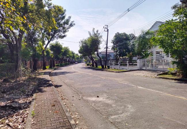 ขายและให้เช่าบ้านเดี่ยว หมู่บ้านแมกไม้ รามอินทรา ซอยรามอินทรา 103/3 คันนายาว กรุงเทพมหานคร 2