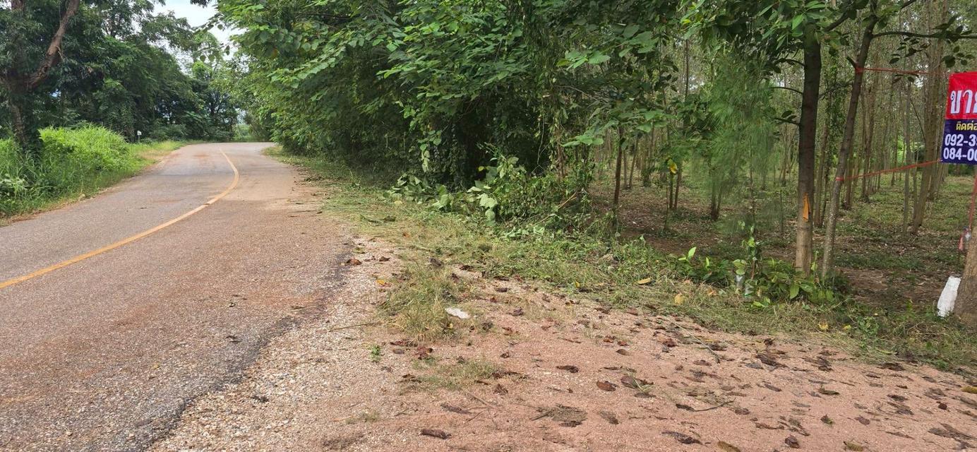 ที่ดินเปล่าถมแล้ว เนื้อที่ 10 ไร่ 1 งาน 14 ตร.ว. ถนนพหลโยธิน ต.ลานดอกไม้ตก อ.โกสัมพีนคร จ.กำแพงเพชร 1