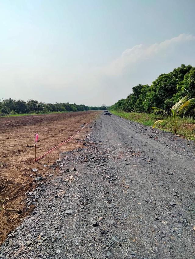 ขายที่ดินต.สันทรายอ.สารภีจ.เชียงใหม่ 100ตรว. 2