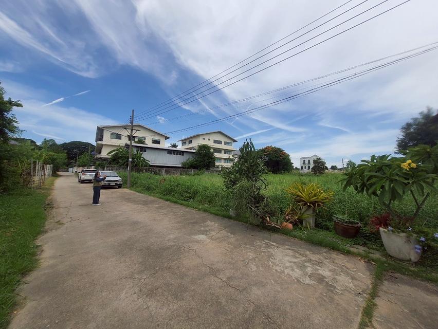 ที่ดิน 1