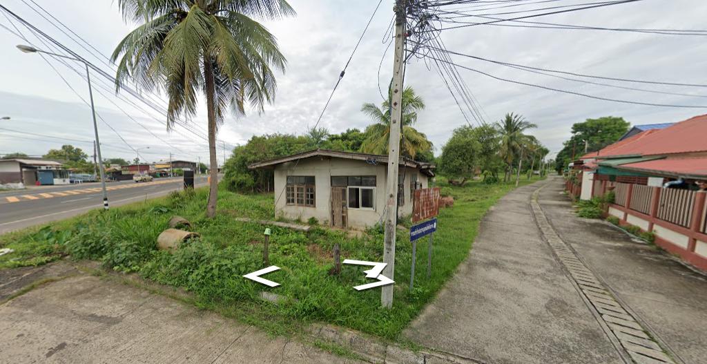 ขายด่วนที่ดินในเขตเทศบาลนางรอง ติดถนน 3 ด้าน 2