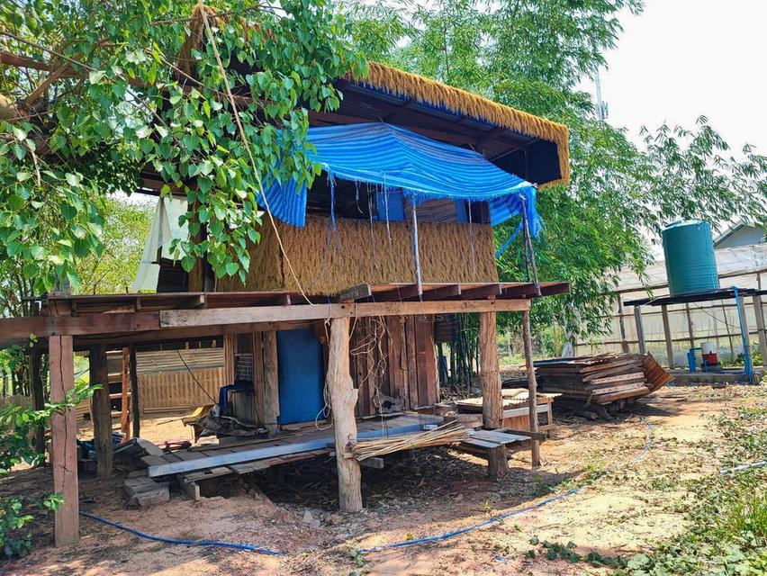 ขายบ้านสวนบรรยากาศดี บนพื้นที่ขนาดใหญ่ จ.อุดรธานี! (H1SS-479) 11