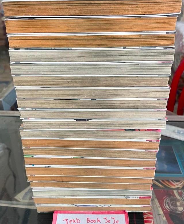 หนังสือการ์ตูน สลับร่างล้างอธรรม 1-20 จบ 8