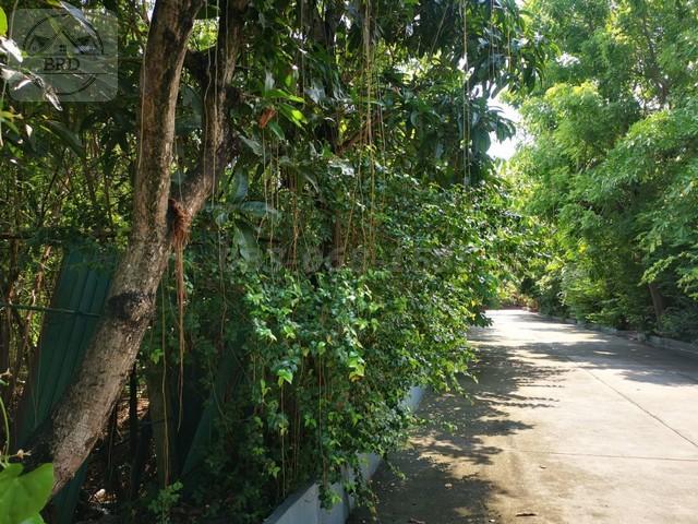 ขายที่ดินทำเลทอง สวนหลวง (เนื้อที่ 1 ไร่ ขาย 45 ล้าน) สวนหลวง กรุงเทพฯ 5