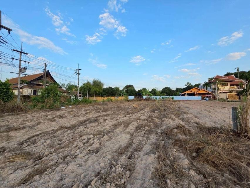 ขายที่ดินเปล่า แปลงสวยติดถนนสองด้าน บางเสร่ ชลบุรี 9