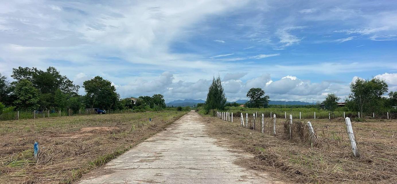 ที่ดิน ชะอำ เพชรบุรี ขนาด 100 ตรวา ผ่อนได้ 6500x60 14